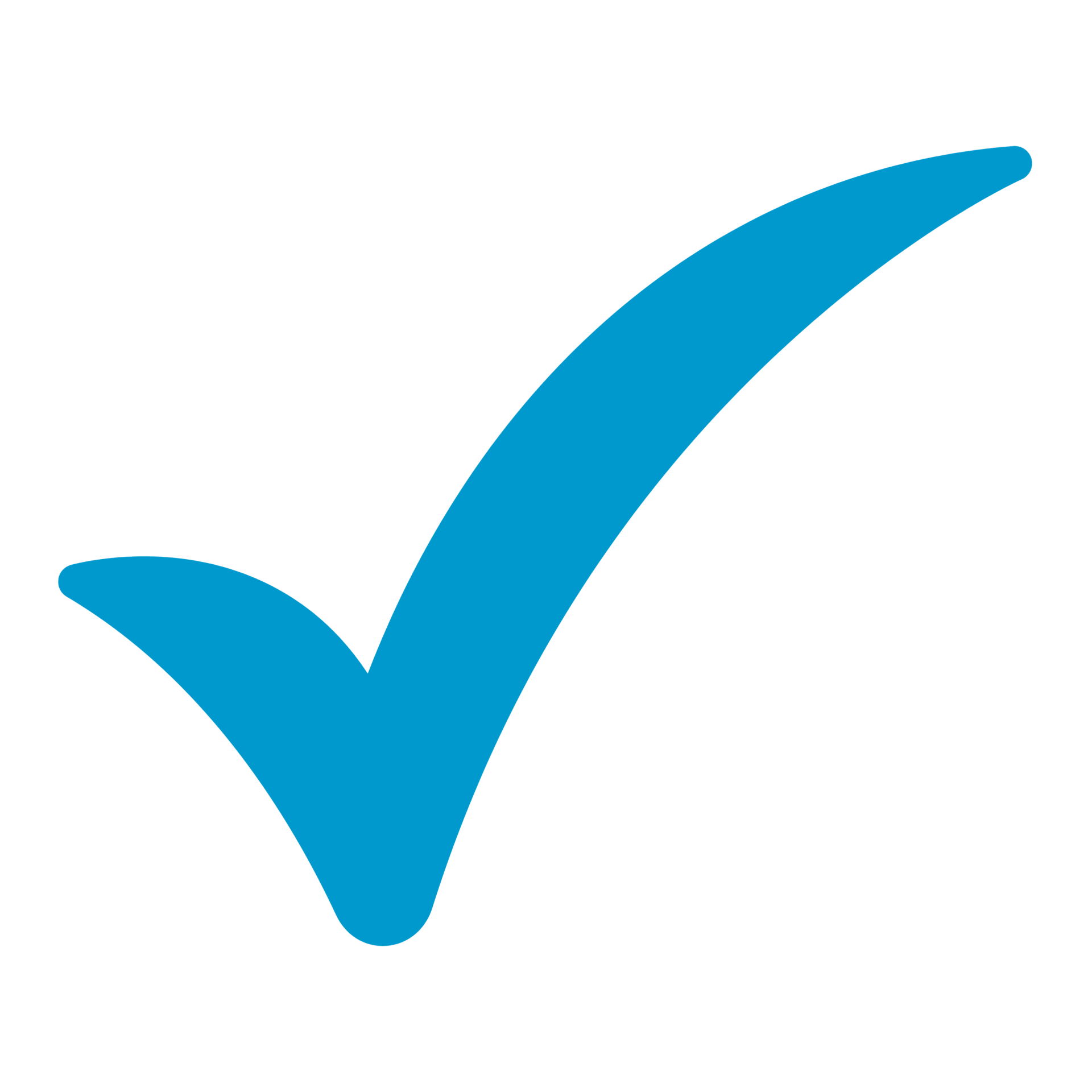 Check Mark