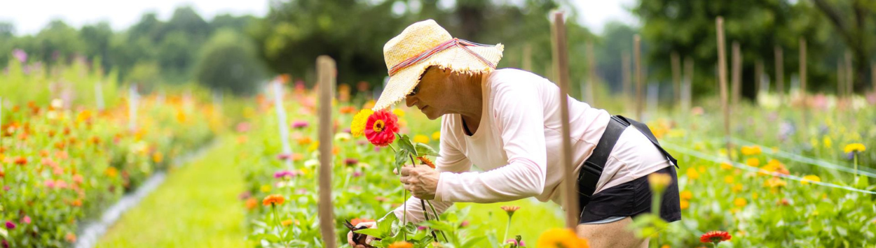 Agribusiness